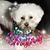 Olivia Villarreal's profile image