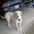 Sallye Sissy Burney Williams's profile image