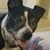 Beth Eggleton Snodgrass's profile image