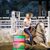 Lynnsey Roberts's profile image