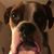Claudia Cheatwood's profile image