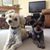Dawn Balser's profile image