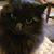 J.m. Bailey's profile image