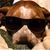 Erin Wheeler Scull's profile image