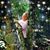 Deborah Hill Wilson's profile image