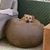 Christine Alexander Jackson's profile image