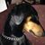 Judy Rush's profile image