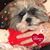 Vicky Held's profile image