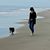 Suzan Scribner Reed's profile image