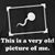 Danny Gaddis's profile image