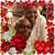 Brenda Robinson-Burns's profile image
