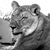 Heidi Miller's profile image