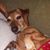 Shirley Schrum Kucera's profile image