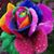 Paulette Ambrose Ruppert's profile image