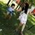 Yvette Alaniz's profile image