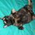Dawn Siebert's profile image