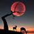 Marco Pequeno Jr.'s profile image
