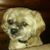Luis O Muñoz's profile image