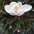 Anita Edwards's profile image