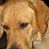 Ann Wallace's profile image