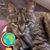 Cheryl Felch's profile image