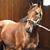 Sharon Tupper's profile image