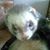 Anthony Vanbutsel's profile image