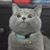 Patty Ann's profile image