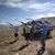 Brent Buhler's profile image