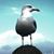 Oliver Schramm's profile image