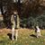 Alexandra Grace Furr's profile image