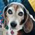 Susan Murphy's profile image