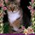 Patricia Lynn Wallace Roggy's profile image