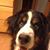Wendy Anderson's profile image