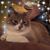 Lori L. Sohn's profile image