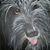 Jamie Royer's profile image