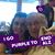 Laurie Landle Kerr's profile image