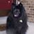 Gilbert Charles Gordon's profile image