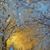 Verna Wright's profile image