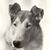 Mary Wells's profile image