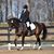Katherine Weyman Gardner's profile image
