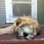 Finnegan Magnusson's profile image