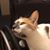 Tara Fisher Larson's profile image