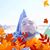 Cesar Garcia Hymer's profile image
