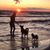 Taylor Renee Hembree's profile image