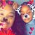 Tanise Williams's profile image