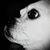 Christy Blair's profile image