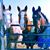 Lori M. Ames Corcoran's profile image
