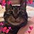Donna Meyer's profile image