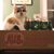 Amanda Porterfield's profile image